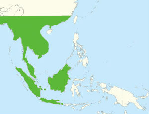 Former range of the orangutan