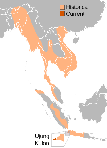 range of Javan Rhinoceros