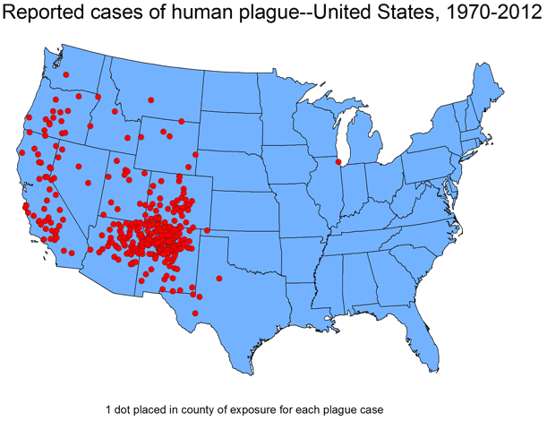 US plague map