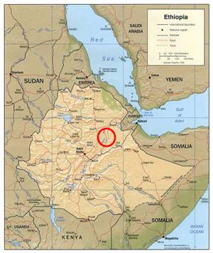 Australopithecus afarensis map