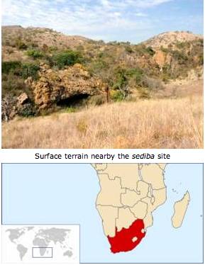 australopithecus sediba site