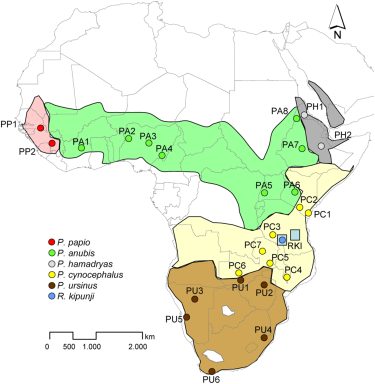 baboon map