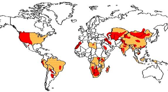 Black plague map