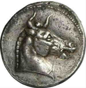 Bucephalus