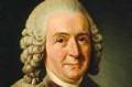 Carolus Linnaeus