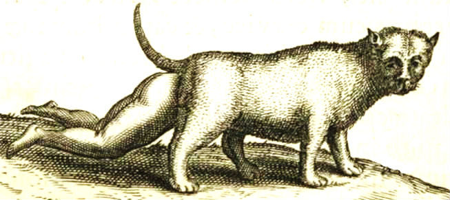 cat-human hybrid