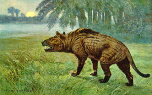 creodont