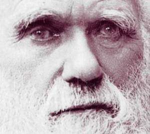 Charles Darwin as an old man