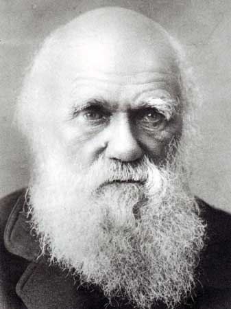 Darwin in old age