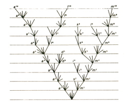 Darwin's picture of evolution