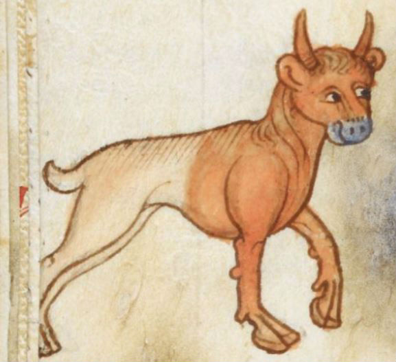 deer-cow hybrid