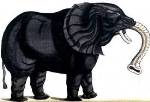 conrad gesner elephant