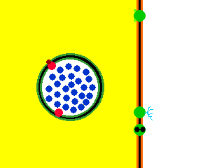 exocytosis animation