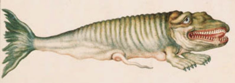 fish-reptile hybrid