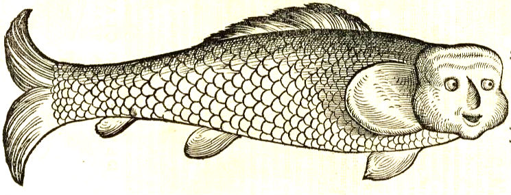 fish-human hybrid