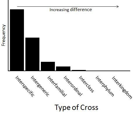 hybrid cross frequency distribution