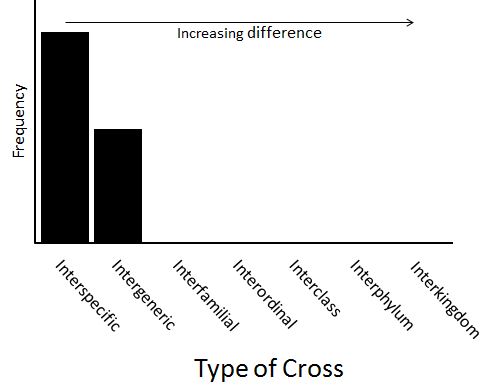 hybrid cross frequency distribution
