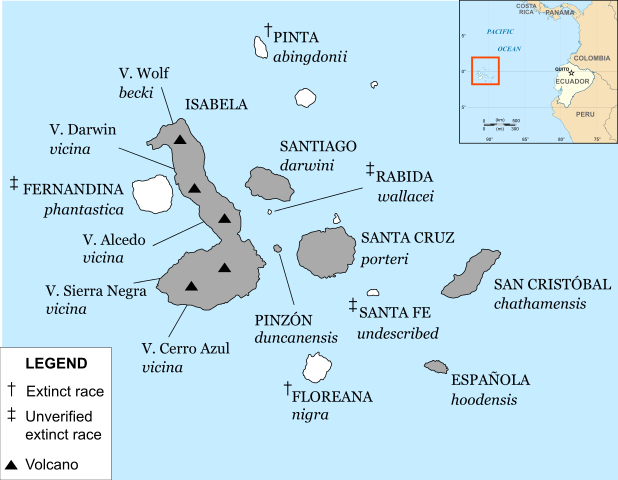 Galapagos Tortoise distribution map