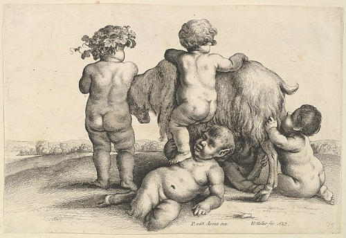 Satyr Hollar