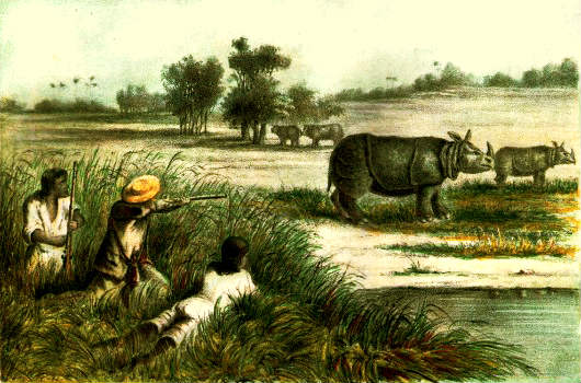 Rhino hunting