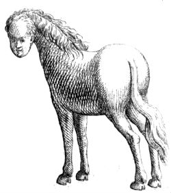 centaur