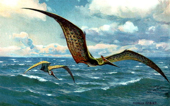 pteranodon