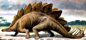 stegosaurus