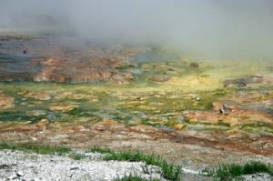 Hot spring in Yellowstone National Park.