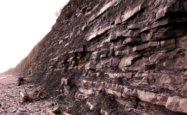 blue lias lyme regis