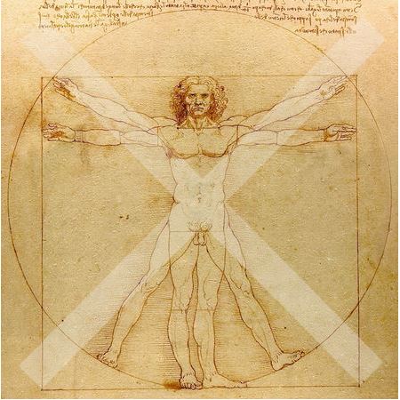 da vinci human body