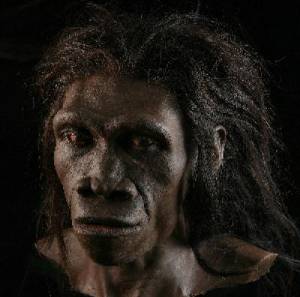 Homo erectus female
