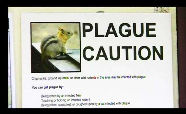 Plague Warning Yosemite National Park