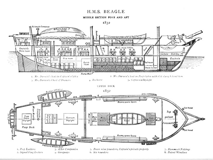 Plan of the Beagle