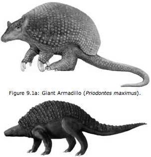 priodontes and nodosaurus