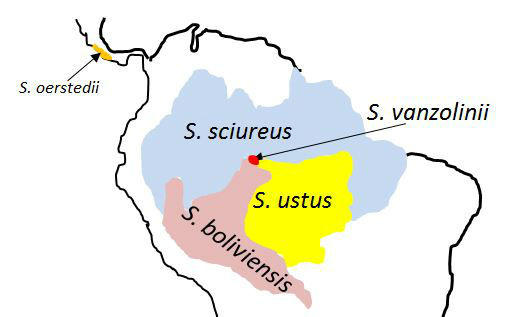 Squirrel monkey distributions in South America